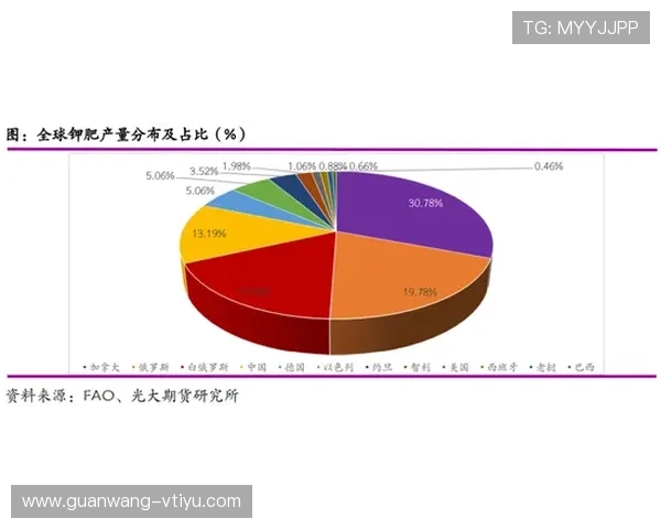 环球体育如何实现全球化布局,满足不同地区用户的多样需求